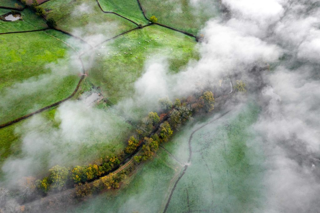 Europe’s environment shows mixed progress but nature remains under threat, major assessment finds