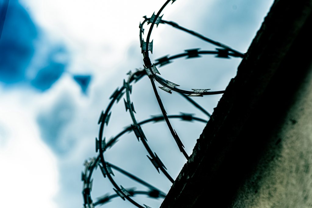 Freed but defiant: Belarusian detainees mark release as US eases sanctions