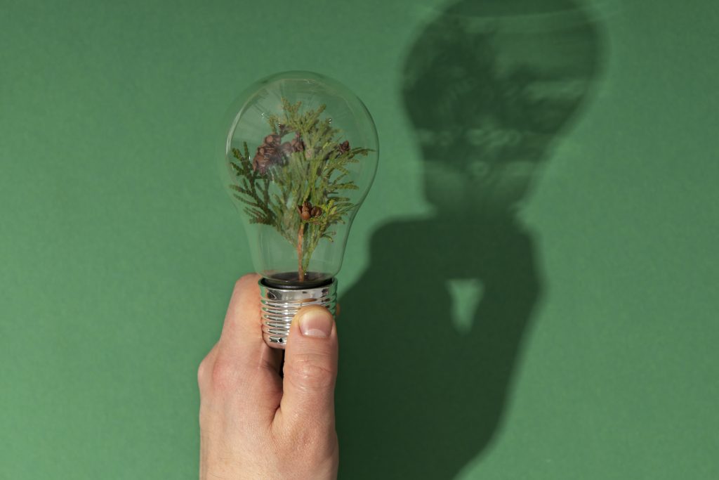 Bold Ideas Tackling Climate Change: How Innovation Could Shape a Greener Future
