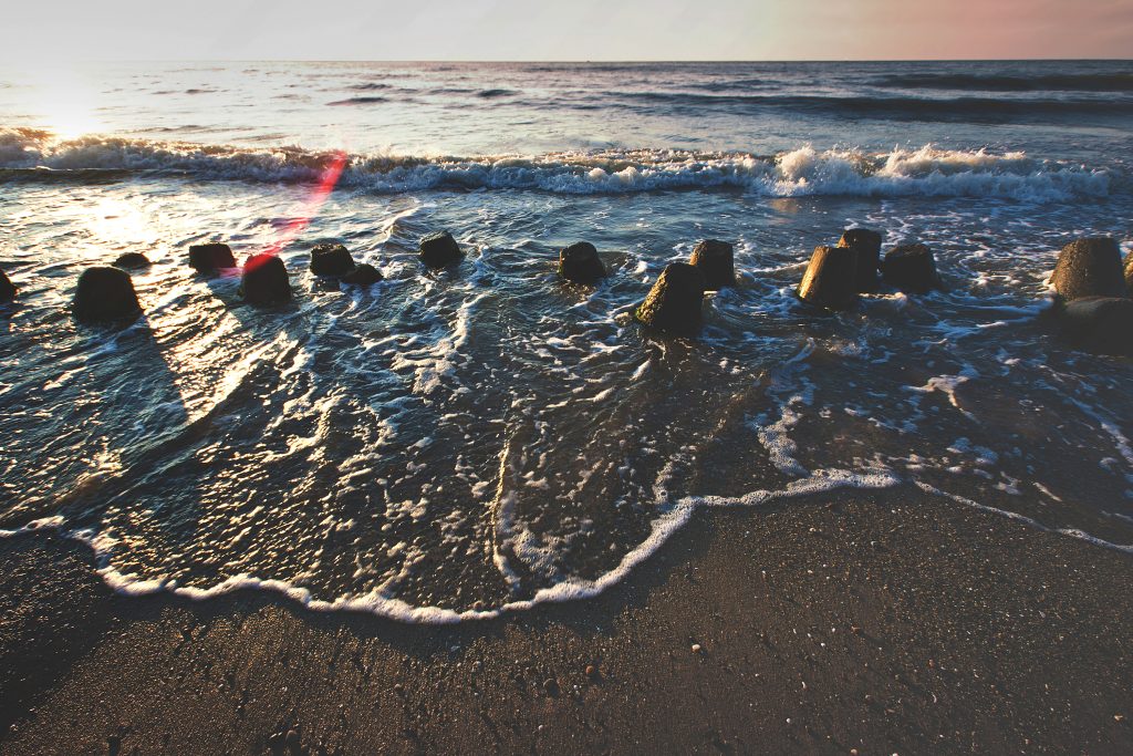 Oceans Under Stress as Marine Heatwaves Increase in Frequency and Intensity