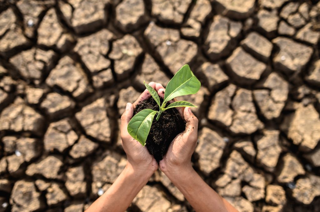 Nature Under Pressure: The Fight to Protect Biodiversity in a Warming World