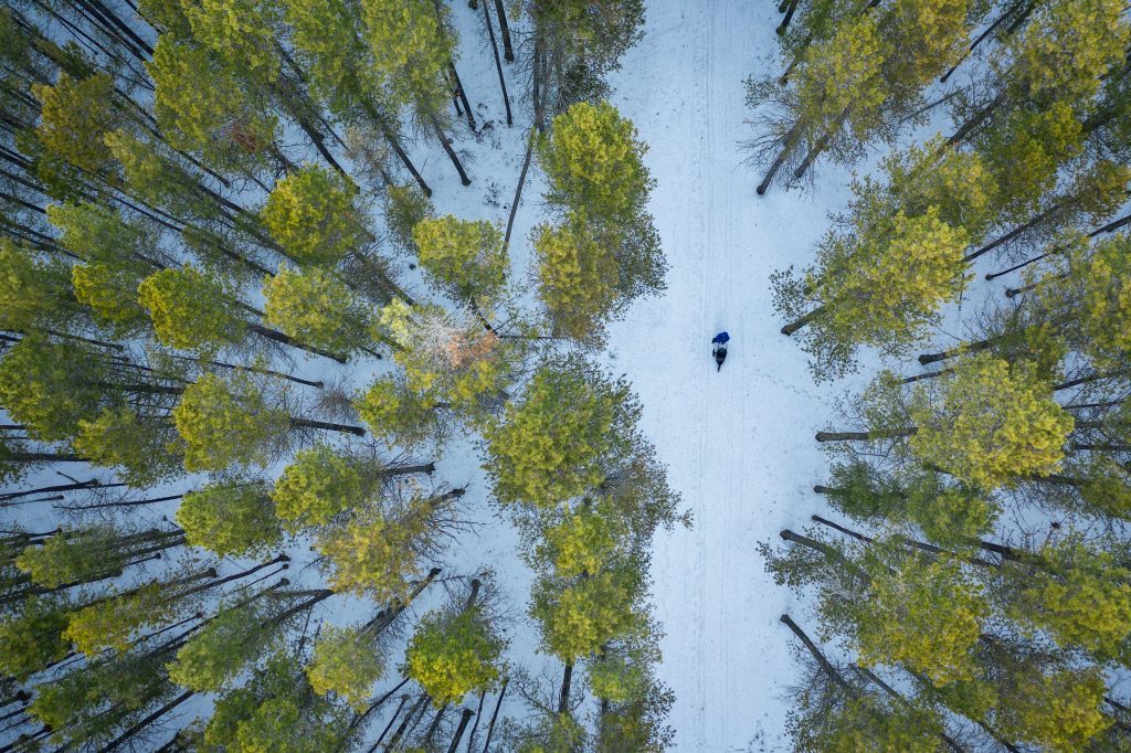 Nature at a Crossroads: How Climate Shifts and Human Activity Are Transforming the Planet’s Most Fragile Ecosystems