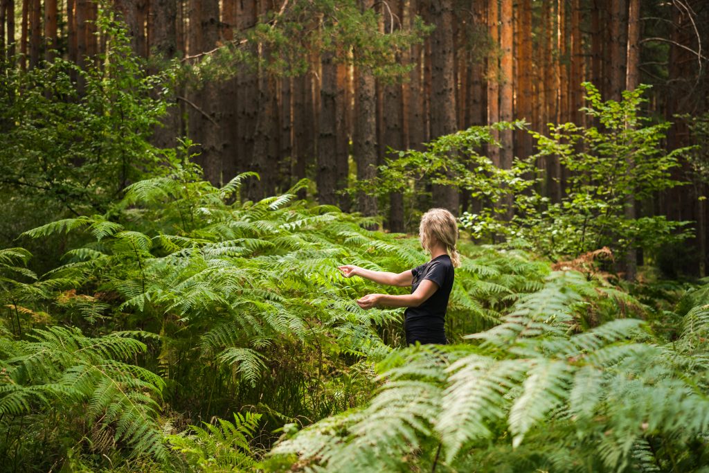 THE FUTURE OF FORESTS: WHY THE WORLD’S WOODLANDS ARE CENTRAL TO CLIMATE STABILITY