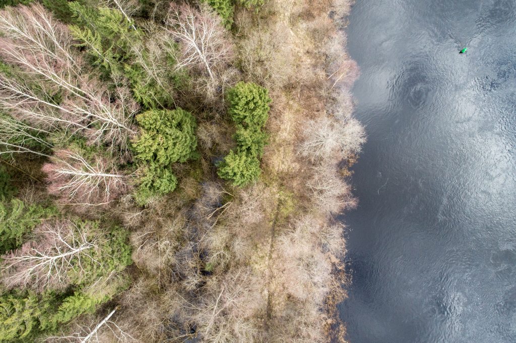 Climate change is altering seasonal patterns and disrupting natural cycles