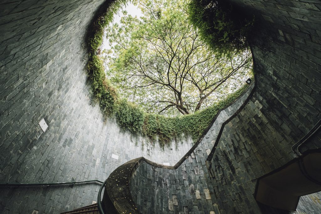 Urban nature is becoming more important as cities expand